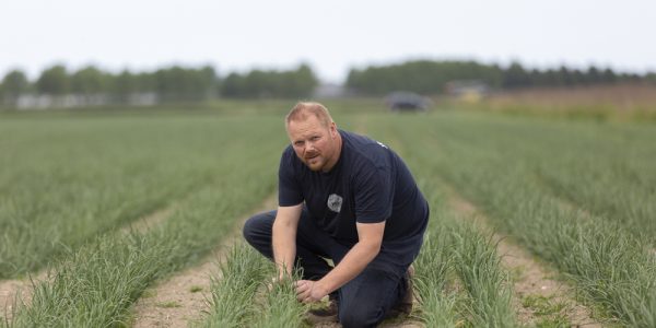 1001hectare_zeeland06