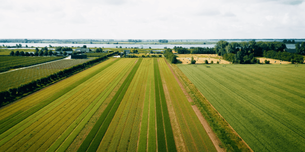 BAM-akkerDroneFotometboerderij-min-scaled
