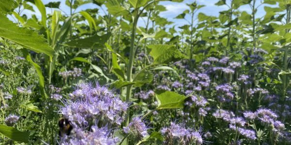 TerraLife N-Fixx 50 juli 2022_2