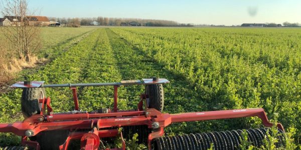 WhatsApp Image 2023-06-08 at 20.26.42 (1)